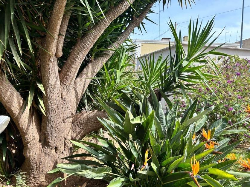 Giardino A Mare Apartment Bari Ngoại thất bức ảnh