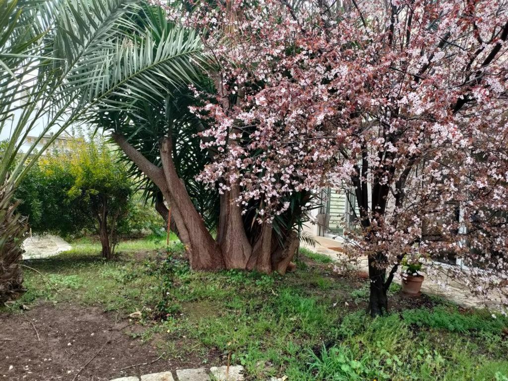 Giardino A Mare Apartment Bari Ngoại thất bức ảnh